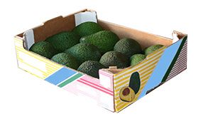 Packagins Solutions - Cajas apra Aguacates