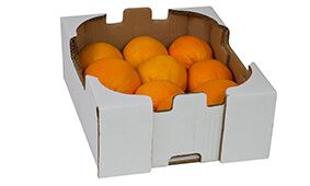 Packagins Solutions  para la Agricultura - Naranjas