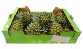 Packagins Solutions - Cajas para Piñas