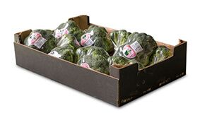 Packagins Solutions - Cajas para la exportación de Frutas y Verduras
