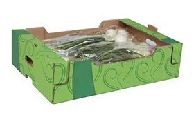 Packagins Solutions - Cajas para la Horicutura