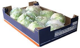 Packagins Solutions Para el Sector Agrícola