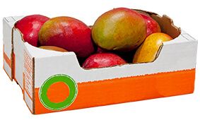 Packagins Solutions -  Cajas para Mangos
