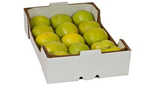 Packagins Solutions - Caja de Manzanas