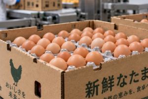 Eggs Japan Packaging