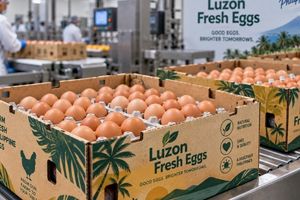 Eggs Phillipines Packaging